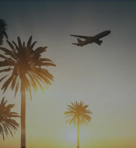 Croisières, billets d’avion, Disneyland...